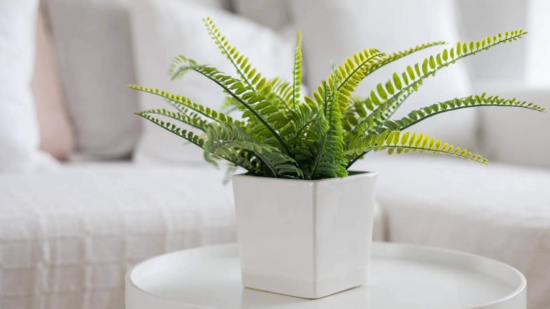 קלטה דה פוסטה Home2Book Nordic Vibes Apartment Pool & Terrace